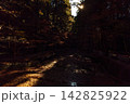 静岡県周智郡森町一宮　小國神社と周辺の風景 142825922