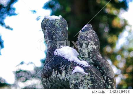 雪に覆われた神社の石像 冬の風景 雪に覆われた神社の石像 冬の風景 142826498