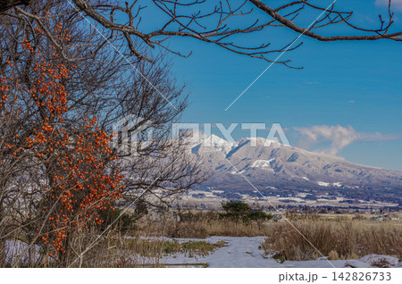 柿の木越しに望む雪山と青空 日本の冬景色 142826733