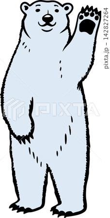 Polar bear on a transparent background Polar bear on a transparent background 142827264