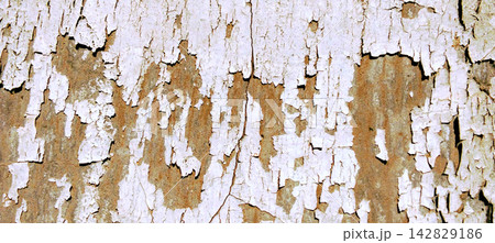 Weathered White Paint and Rust Texture Background 142829186