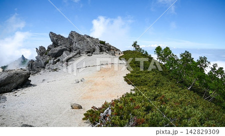 鳳凰三山の稜線の絶景 鳳凰三山の稜線の絶景 142829309