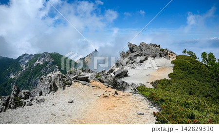 夏の鳳凰三山の稜線 夏の鳳凰三山の稜線 142829310
