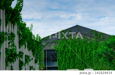 Modern building covered with lush green climbing plants and vertical garden walls. Sustainable architecture that helps shade the exterior and supports greener urban environments. Natural cooling. 142829414