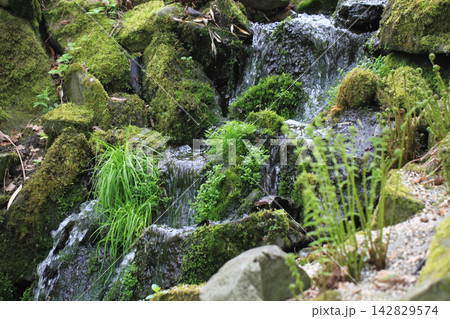 small outdoor waterfall small outdoor waterfall 142829574