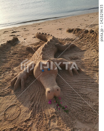 crocodile from the sand crocodile from the sand 142829635