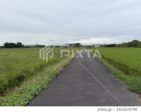 まっすぐな道 まっすぐな道 142829746