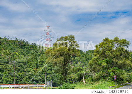 奥琵琶湖 里山風景 滋賀県長浜市近江塩津 奥琵琶湖 里山風景 滋賀県長浜市近江塩津 142829753