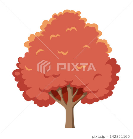Vector illustration of a red oak tree in cartoon style isolated on white background 142831160