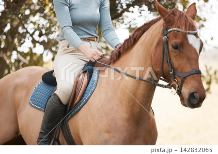 Woman, nature and horse for equestrian sport on ranch, stallion and riding hobby in agriculture. Competition, training and female rider, horsemanship and outdoor trees or holiday in Argentina 142832065