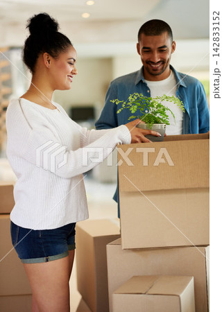 Excited, couple and packing with cardboard box, plant and moving in home for new house or apartment. Happy, female person and man on real estate with packaging for relocating for shipping on property 142833152