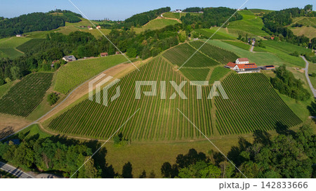 Carinthia Vineyards Green Hills Aerial View Austria Carinthia Vineyards Green Hills Aerial View Austria 142833666