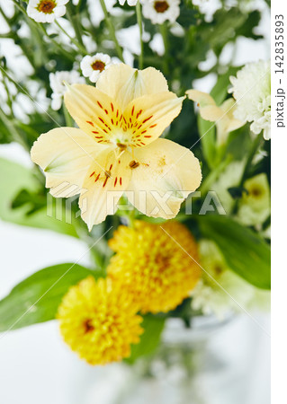 Close-up of yellow alstroemeria and white chrysanthemums in a bouquet Close-up of yellow alstroemeria and white chrysanthemums in a bouquet 142835893
