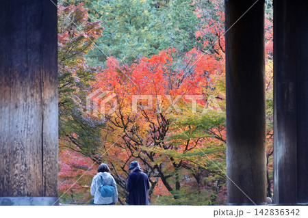 南禅寺・三門・紅葉(京都・左京区) 南禅寺・三門・紅葉(京都・左京区) 142836342