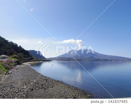 鹿児島県垂水市より望む桜島 142837485