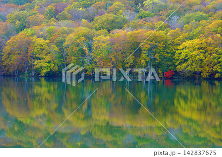 蔦沼(青森県)の紅葉風景 蔦沼(青森県)の紅葉風景 142837675
