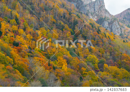 層雲峡(北海道)の紅葉 層雲峡(北海道)の紅葉 142837683