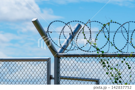 Razor wire security fence with metal chain link barrier against blue sky, perimeter protection and restricted access boundary for secure facility and private property. 142837752