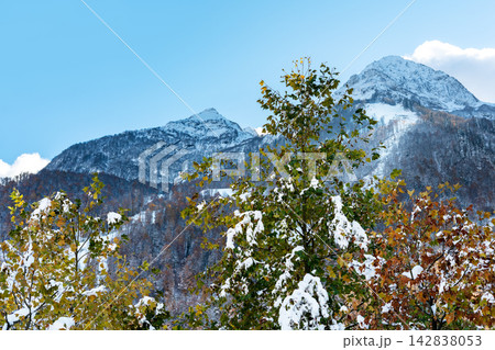 Majestic snow-covered mountains are framed by colorful autumn trees, creating a stunning natural landscape under a clear blue sky filled with tranquility Majestic snow-covered mountains are framed by colorful autumn trees, creating a stunning natural landscape under a clear blue sky filled with tranquility 142838053