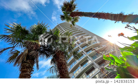 Modern high-rise building surrounded by palm trees in Sochi, Russia Modern high-rise building surrounded by palm trees in Sochi, Russia 142838153