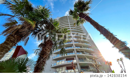 Modern high-rise building framed by palm trees in Sochi, Russia 142838154