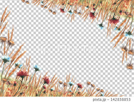 Autumn field with red, orange wildflowers, green yellow grasses rectangular corner frame. Hand drawn watercolor landscape nature fall meadow plants banner, card template. Isolated on white background. Autumn field with red, orange wildflowers, green yellow grasses rectangular corner frame. Hand drawn watercolor landscape nature fall meadow plants banner, card template. Isolated on white background. 142838853