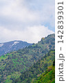 Vertical summer shot of mountain slopes with green grass and coniferous and deciduous trees against the background of white dense clouds. In the background there is snow in some places 142839301