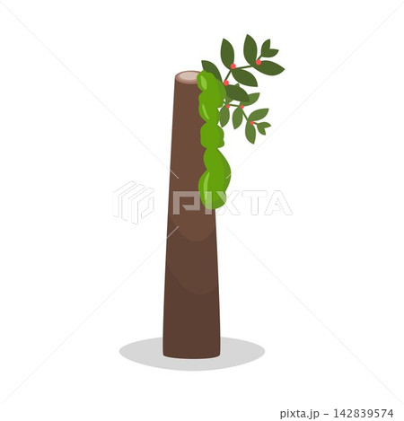 Vertical Straight Tree Log with Fresh Green Moss and Leafy Branch Sapling	 142839574