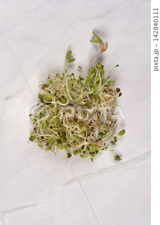 Fresh mixed sprouts on a light marble background 142840111