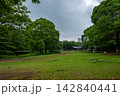 Open Lawn and Mature Trees in Kitanomaru Park 142840441