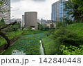 Ushigafuchi Moat and Showa-kan Museum in Tokyo 142840448