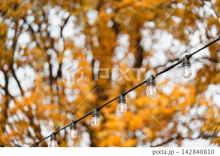 Outdoor string light bulbs on golden autumn trees and warm bokeh background. Cafe and patio decor 142840810