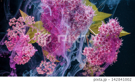 Pink spirea blossoms floating in swirling ink water with dark abstract background Pink spirea blossoms floating in swirling ink water with dark abstract background 142841002