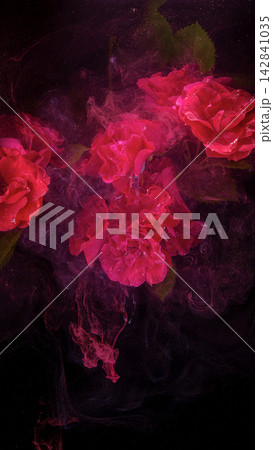 Closeup red roses with swirling colored smoke, glittering sparkles, and dark starry background 142841035