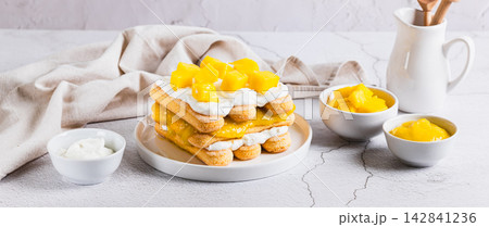 Tiramisu with ladyfingers, ricotta, and mango on a plate on the table web banner 142841236