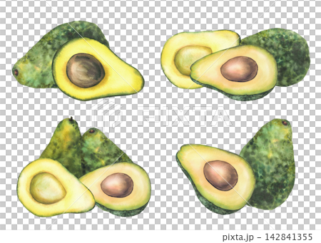 Realistic avocado watercolor hand painted set. Whole and cut green fruit half with seed. Botanical illustration isolated on white background for healthy food packaging, menu, exotic vegetables product Realistic avocado watercolor hand painted set. Whole and cut green fruit half with seed. Botanical illustration isolated on white background for healthy food packaging, menu, exotic vegetables product 142841355