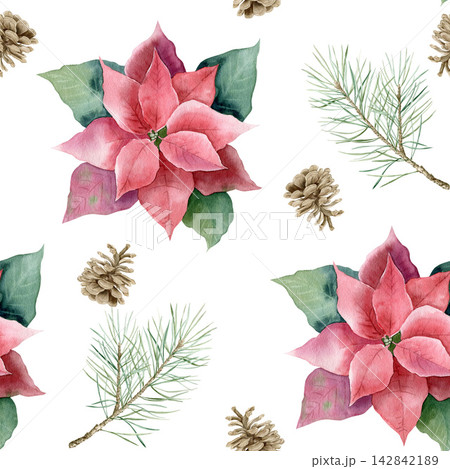 Watercolor Christmas seamless pattern with pink poinsettia flowers, pine branches and pinecones. Hand drawn repeating background for winter holidays, New Year design and wrapping paper on white. 142842189