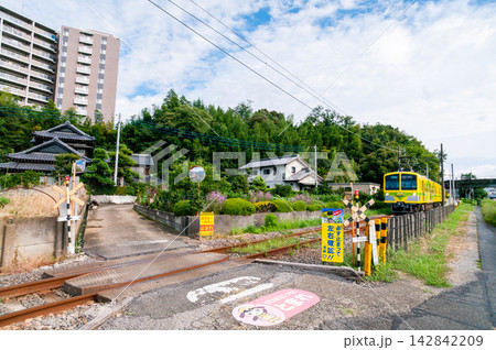 【流山線】第4種踏切のある沿線を走行する電車 【流山線】第4種踏切のある沿線を走行する電車 142842209