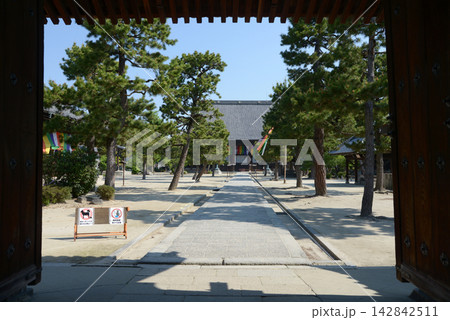百萬遍知恩寺 総門から境内を望む 京都市左京区田中門前町 百萬遍知恩寺 総門から境内を望む 京都市左京区田中門前町 142842511