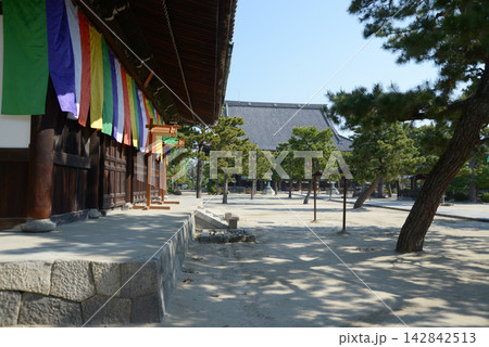 百萬遍知恩寺 境内 京都市左京区田中門前町 百萬遍知恩寺 境内 京都市左京区田中門前町 142842513
