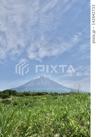 富士山(朝霧高原/静岡県富士宮市) 富士山(朝霧高原/静岡県富士宮市) 142842733