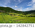 坂折棚田 142842751
