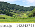 坂折棚田 142842753