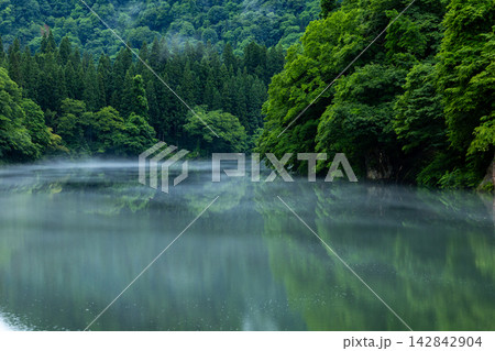 霧幻峡の渡し早戸船着場からの川霧 142842904