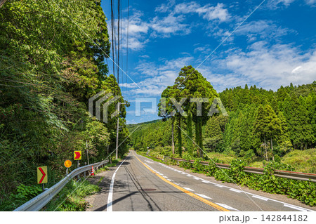 奥琵琶湖の山林風景 滋賀県長浜市西浅井町 奥琵琶湖の山林風景 滋賀県長浜市西浅井町 142844182