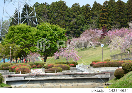 静峰ふるさと公園・八重桜まつり #88 静峰ふるさと公園・八重桜まつり #88 142844624