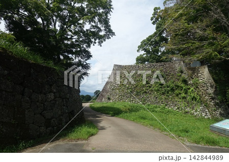 荒城の月に思いをはせて眺める岡城址の石垣 荒城の月に思いをはせて眺める岡城址の石垣 142844989