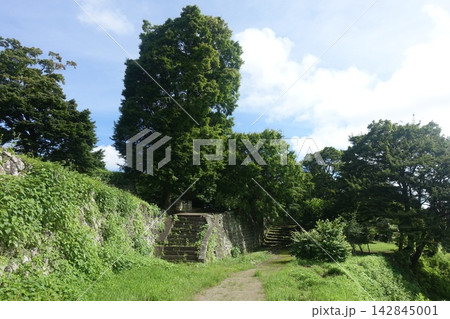 荒城の月に思いをはせて眺める岡城址の石垣 荒城の月に思いをはせて眺める岡城址の石垣 142845001