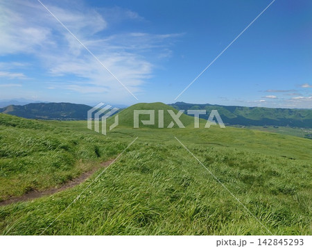 緑豊かな阿蘇の草千里周辺の風景 緑豊かな阿蘇の草千里周辺の風景 142845293