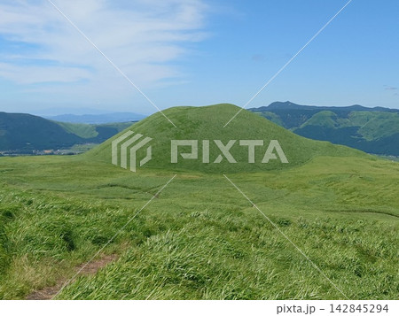 緑豊かな阿蘇の草千里周辺の風景 142845294